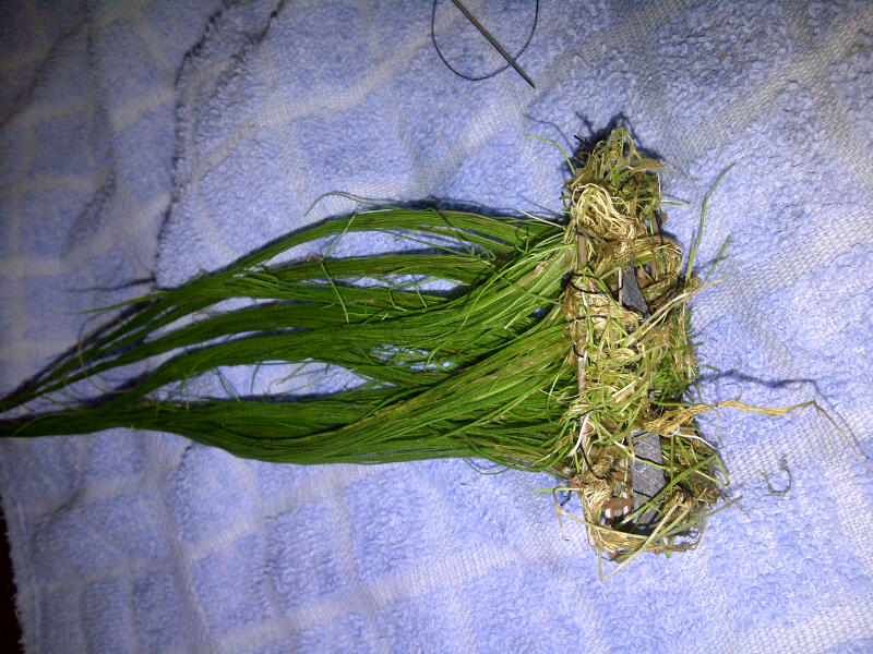 hairgrass.jpg