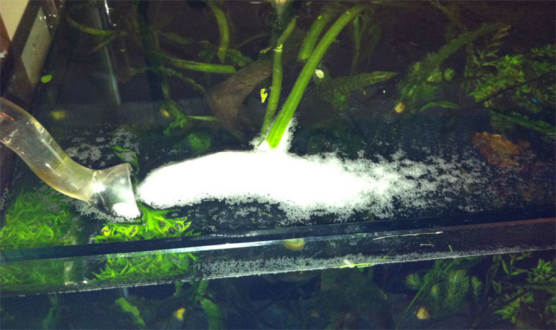 Bubble bath :)