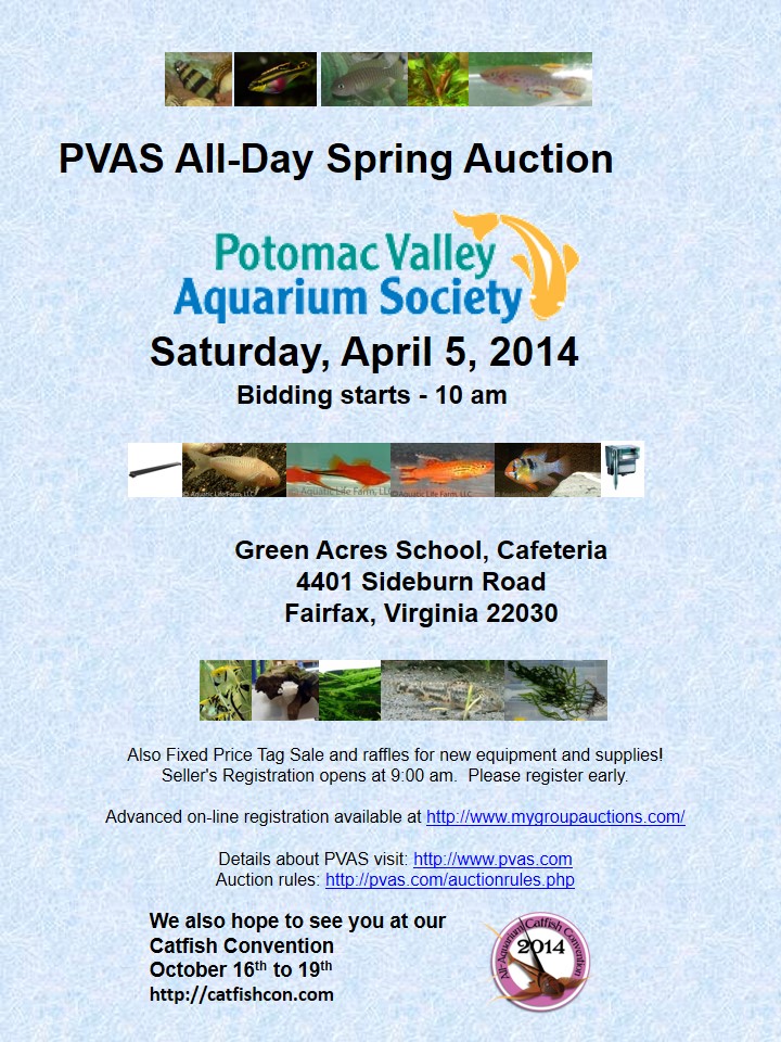 pvas_spring_auction.jpg