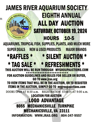 JRAS AUCTION FLYER FALL 2024.low res.jpg