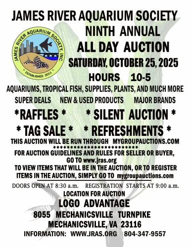 JRAS AUCTION FLYER FALL 2025low res.jpg