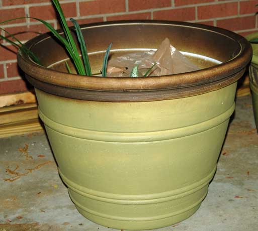 waterpot.jpg