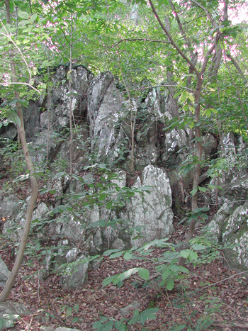 rock scape--a la Mom Nature.