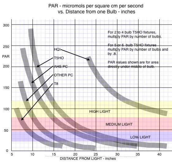 PARforVariousBulbs (1).jpg